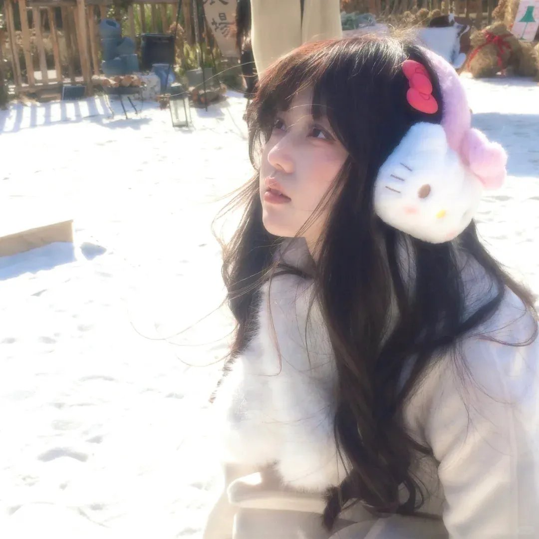 无耻之徒(美版) 第四季